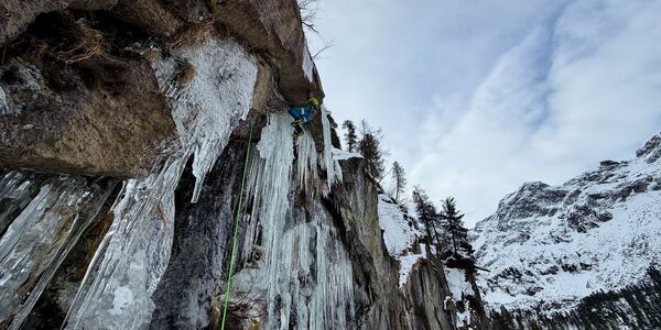 © Thomas Bubendorfer 2019