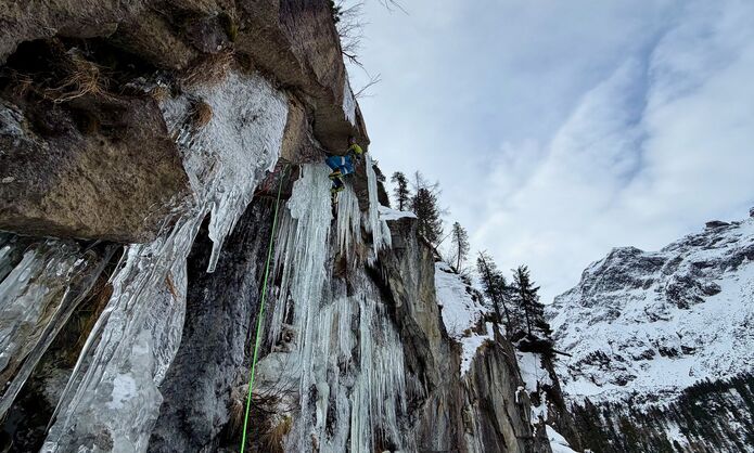 © Thomas Bubendorfer 2019