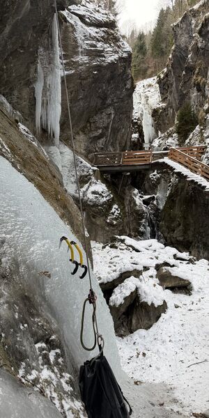 © Thomas Bubendorfer 2019